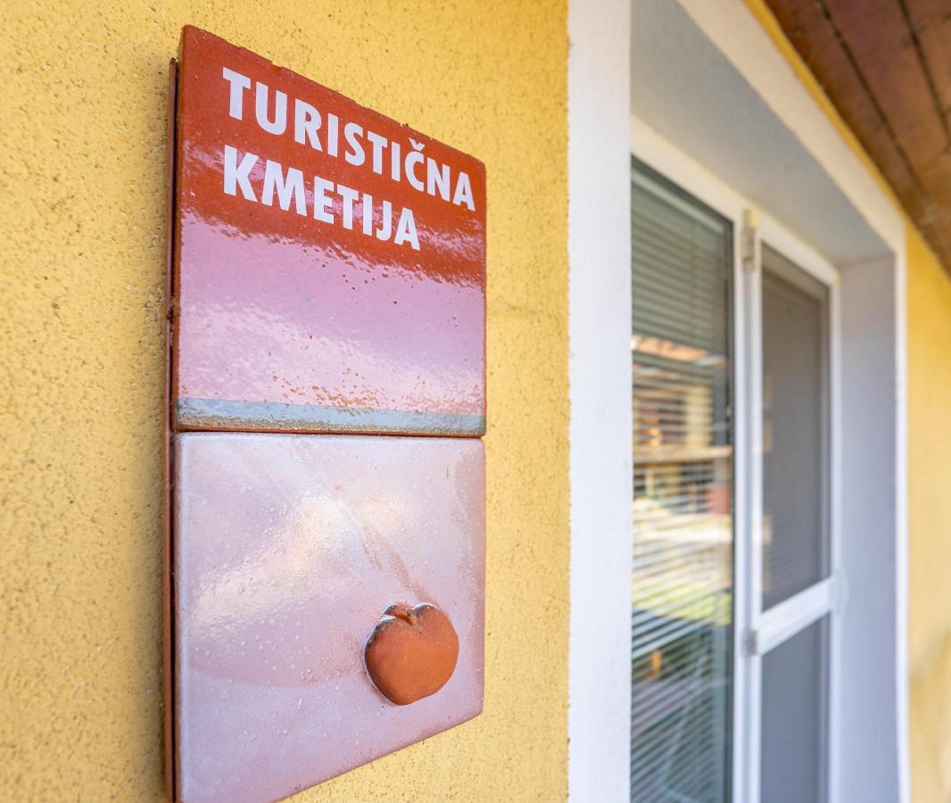 Fortun Estate - Apartmaji Ob Reki Kolpi Метлика Экстерьер фото